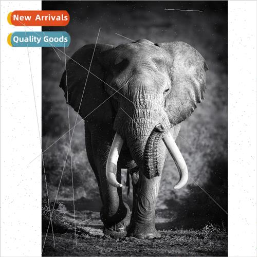 Handmade point drill painting new DIY elephant full round di
