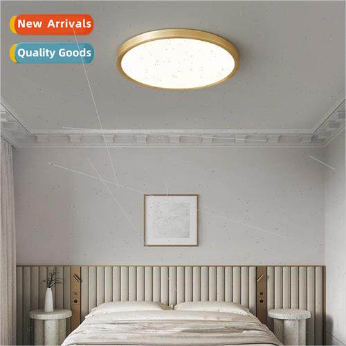 Modern minimalist pure copper ceiling light room bedroom hal