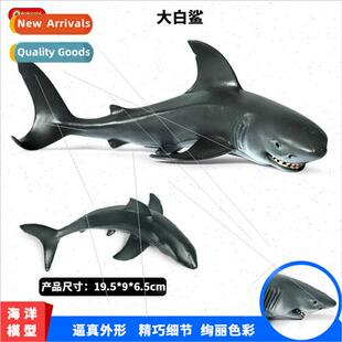 children toys marine life anima shark model whe Marine great