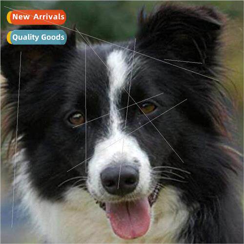 Cross Stch New DIY Puppy Full Stch mple Handmade Thread Cros