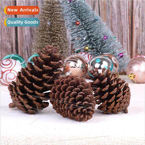 Large pine cones Christmas diy decoration supplies photograp