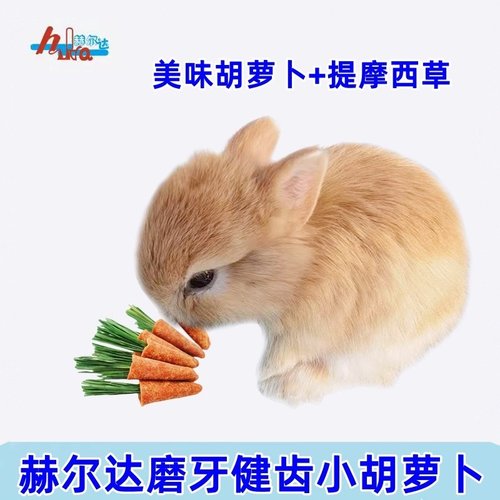 赫尔达小胡萝卜兔子磨牙零食玩具