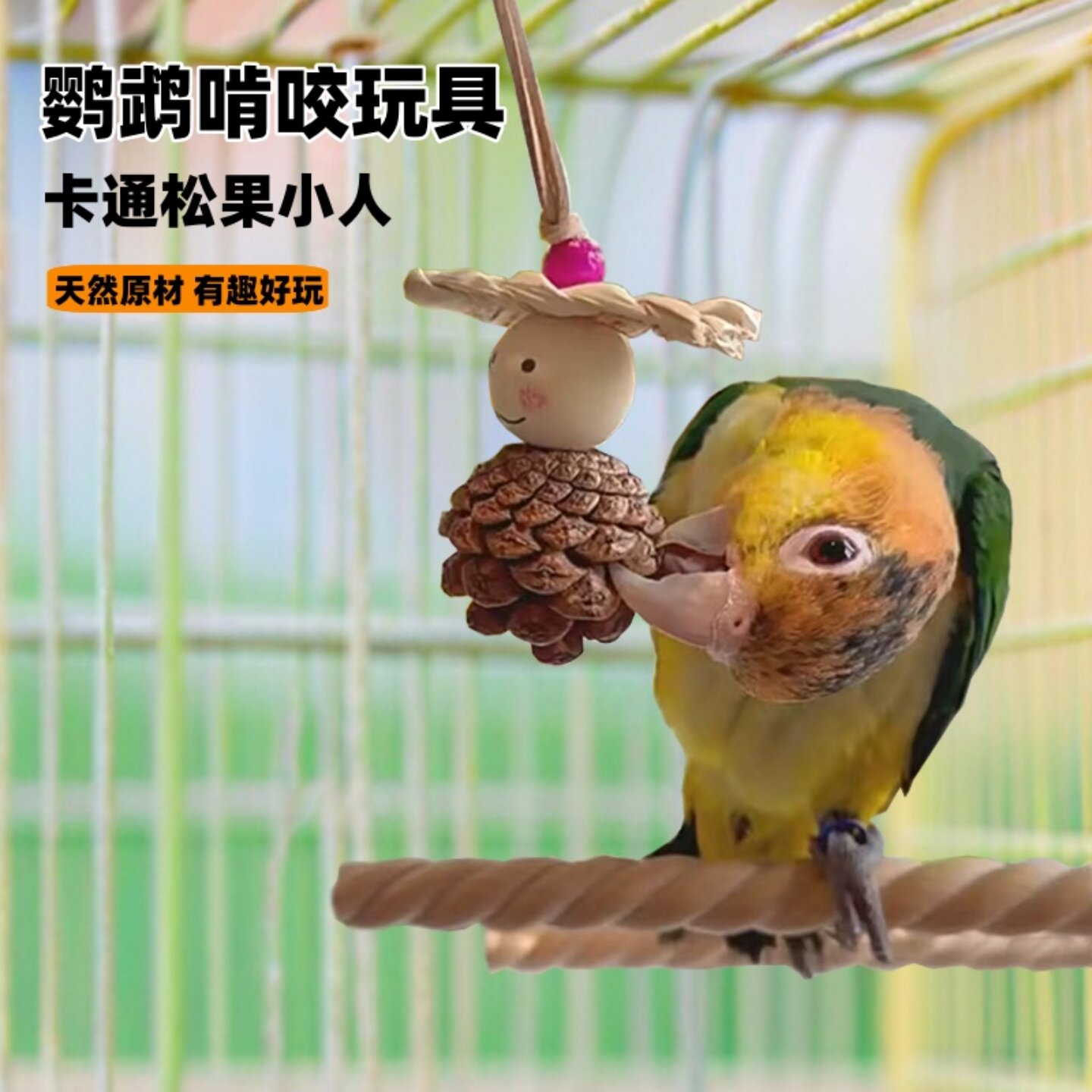 小太阳牡丹和尚鹦鹉解闷自嗨啃咬天然攀爬玩具磨牙松果鸟笼内装饰,宠物/宠物食品及用品,鸟玩具,淘宝优惠券,粉丝福利购,淘宝优惠卷