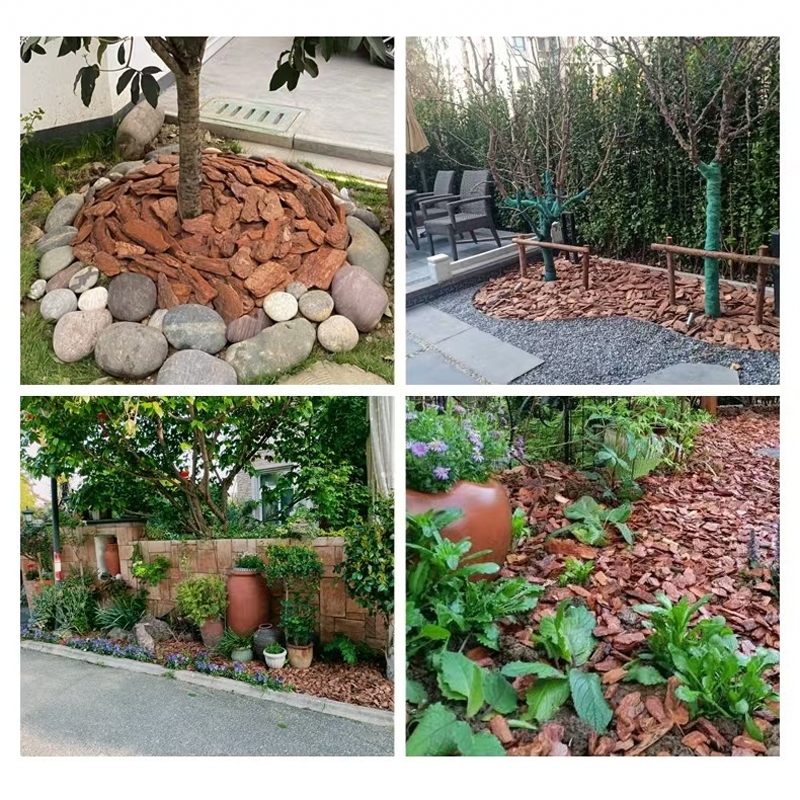 树皮覆盖物发彩色木屑木丝