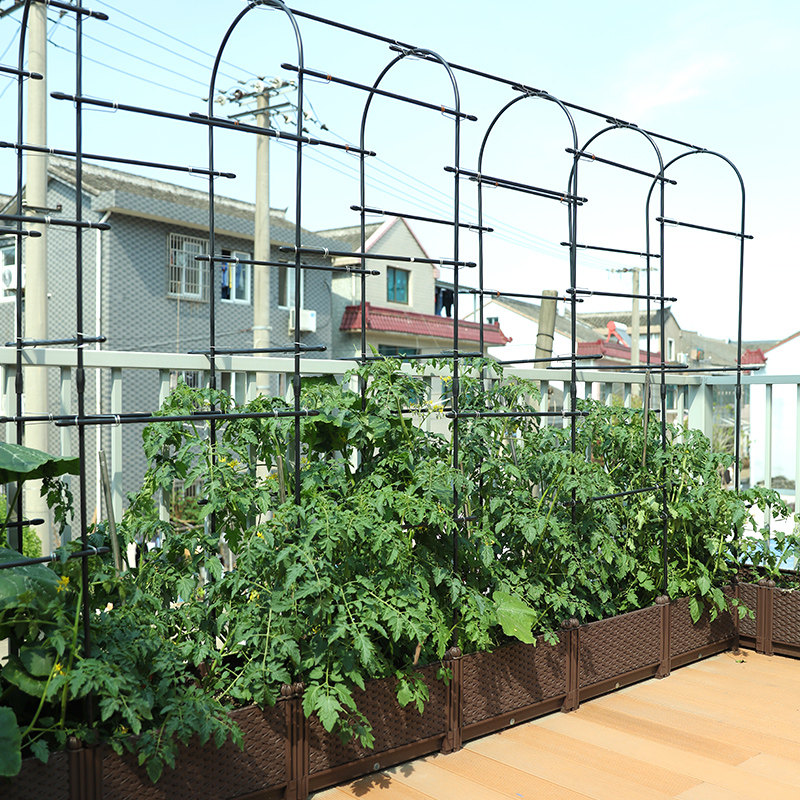 种菜盆家庭小花植箱屋顶园