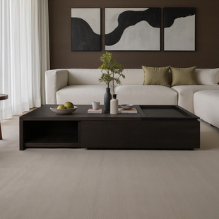 楷模100-巴利茶几时尚极简客厅现代轻奢茶桌茶台小户型