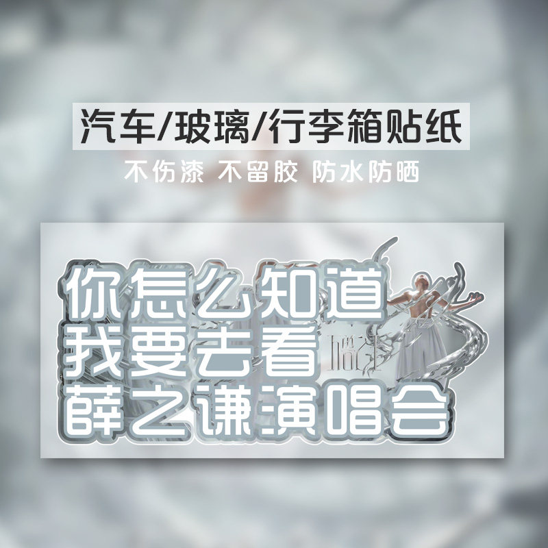 你怎么知道我要去看薛之谦演唱会车贴拉花车身贴纸玻璃贴画应援物