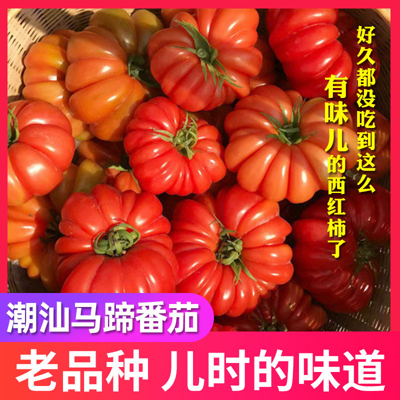 潮汕马蹄番茄老品种非转基因自然熟西红柿应季新鲜孕妇水果包邮,水产肉类/新鲜蔬果/熟食,番茄,淘宝优惠券,粉丝福利购,淘宝优惠卷