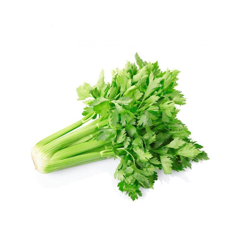 广东潮汕特产新鲜西芹大芹菜 500g沙拉素食菜新鲜蔬菜农家种植