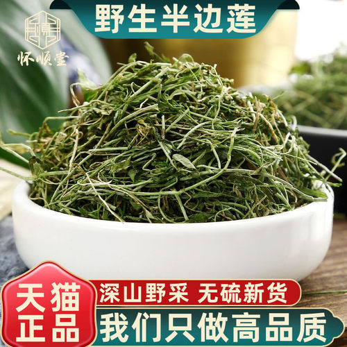 野生半边莲500g克新鲜干货中药材