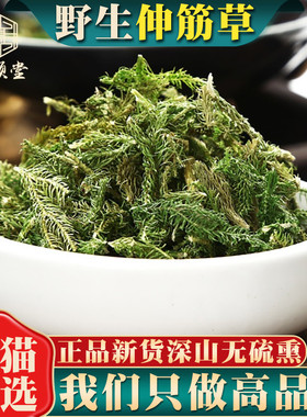 野生伸筋草中药500克g正品另售远志益智仁伸筋草透骨草中药材新货