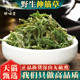 野生伸筋草中药500克g正品 另售远志益智仁伸筋草透骨草中药材新货