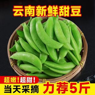 带壳食用新鲜甜豆云南农家自种时令蔬菜菜甜豆小青豆脆嫩甜豆整箱