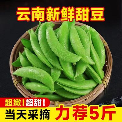 带壳食用新鲜甜豆云南农家自种时令蔬菜菜甜豆小青豆脆嫩甜豆整箱