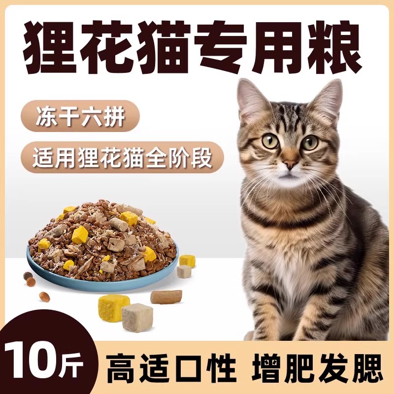 狸花猫专用猫粮营养冻干大包装20