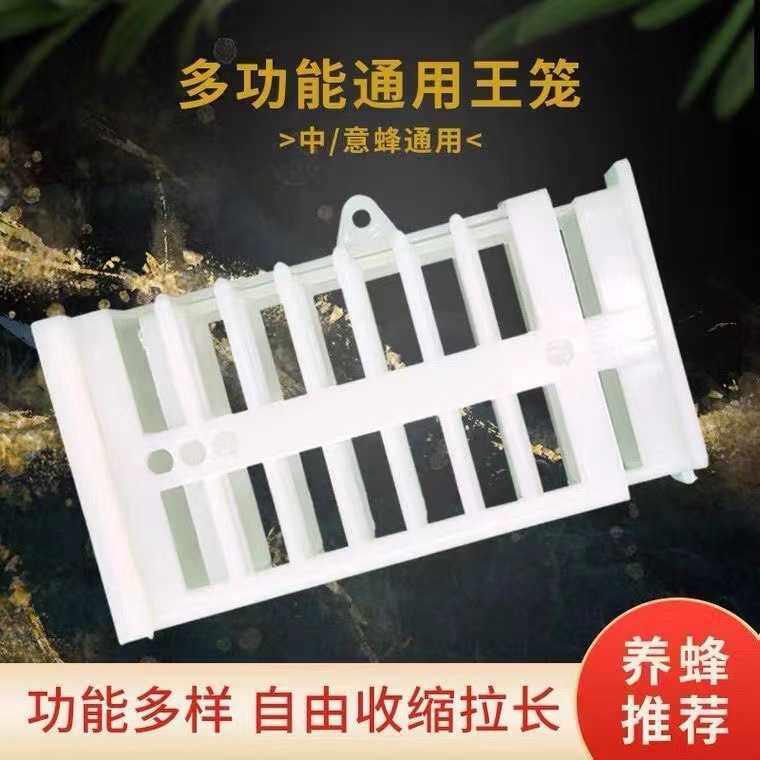 蜜蜂囚王笼 介王蜜蜂2用蜂王笼邮寄王龙关王塑料中蜂意蜂养蜂工具