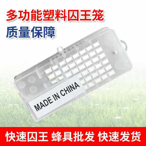 多功能囚王笼中蜂意蜂储王笼邮寄蜜蜂王笼蜂具养蜜蜂工具蜜蜂王笼