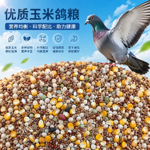 优质有玉米鸽粮鸟食观赏鸽信鸽肉鸽成鸽四季通用日常营养饲料