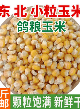玉米粒鸡鸭鸟饲料鸽粮散装10斤
