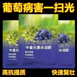 领沃葡萄叶面肥高产膨大增甜