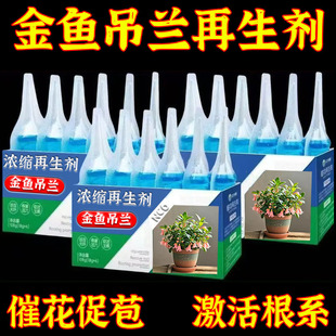 金鱼吊兰通用浓缩植物形再生剂营养液养花卉盆栽家庭园艺水溶肥料