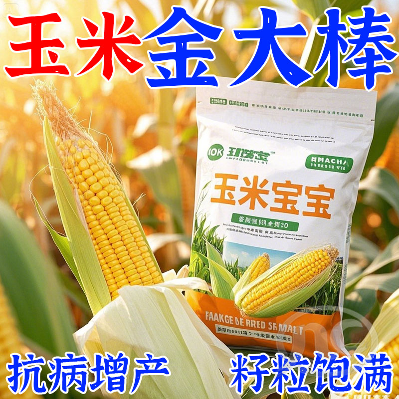 【厂家直销】玉米高产叶面肥肥玉米增产种菜玉米有机基肥复合肥料