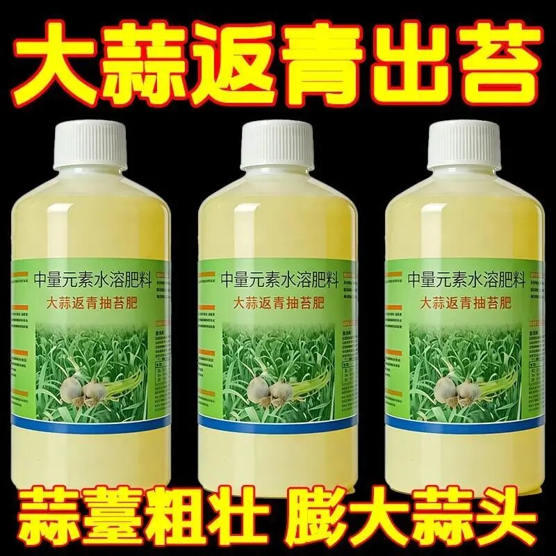 大蒜专用叶面肥抽苔生根壮苗