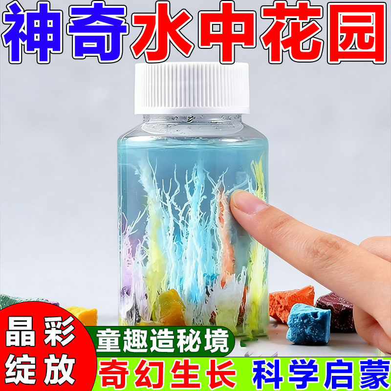 水中花园小学生DIY生长石实验