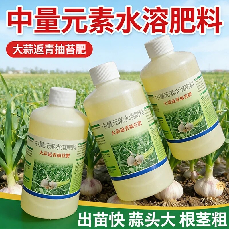 大蒜专用返青提苗抽苔膨大素