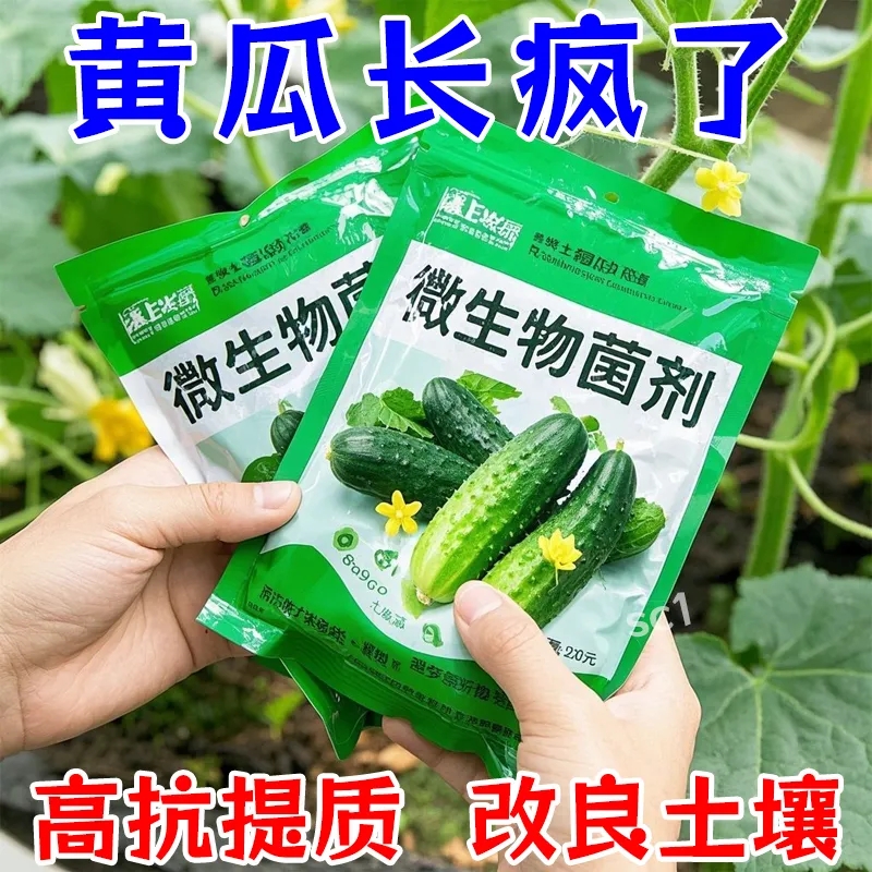 黄瓜病菌清水果黄瓜专用叶面肥