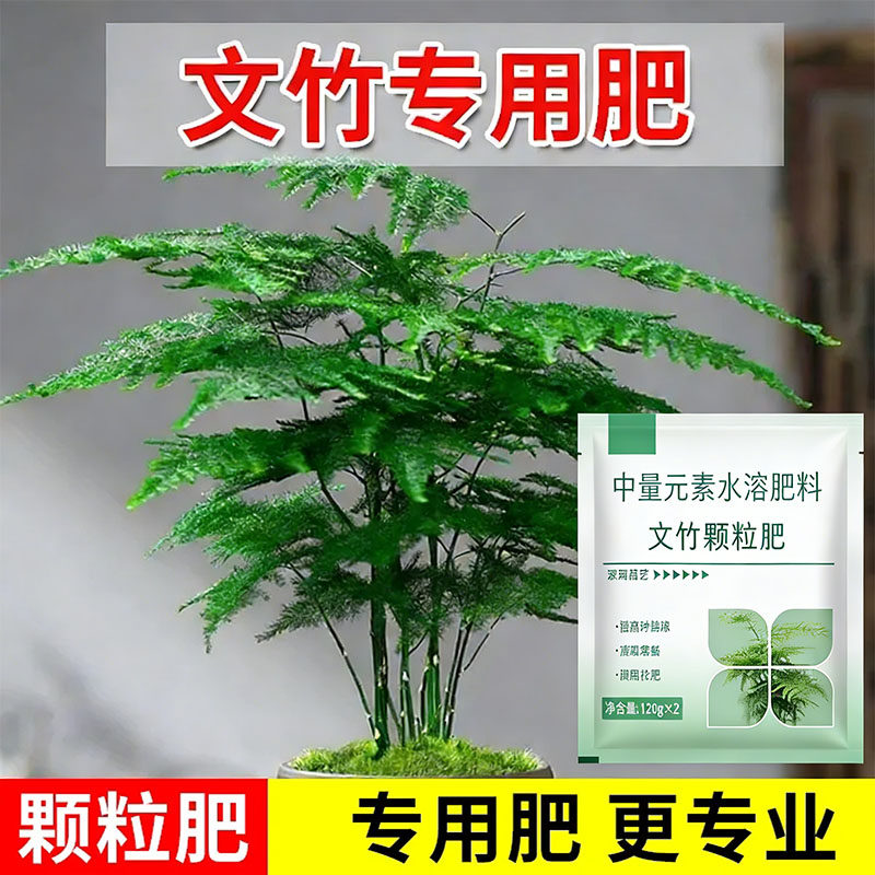 文竹专用颗粒水溶肥治黄叶
