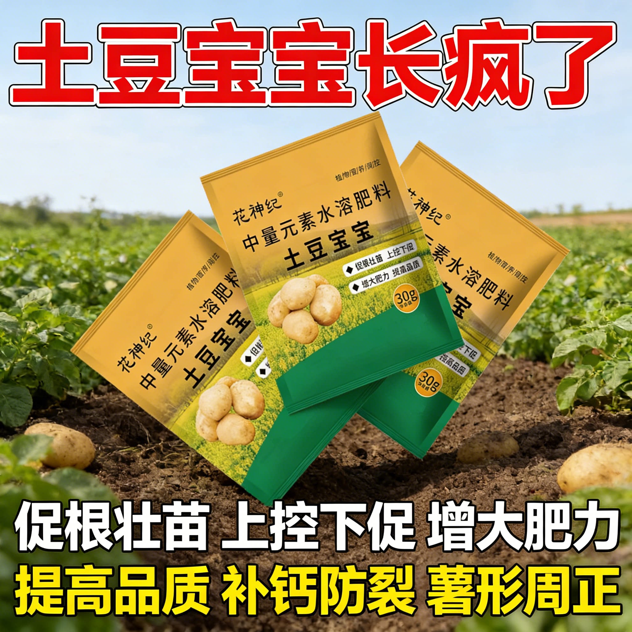 花神纪土豆宝宝缓释叶面肥颗粒
