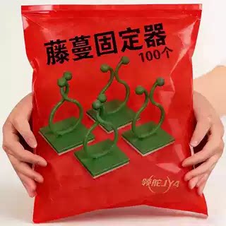 绿萝三角梅爬墙固定器大号图片