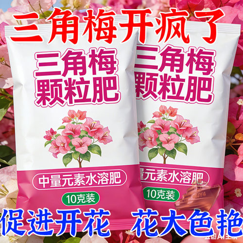 三角梅专用促芽光治黄叶颗粒