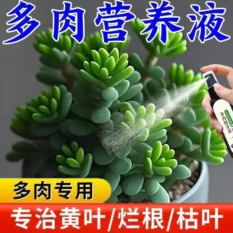 肉多多多肉爆盆营养液