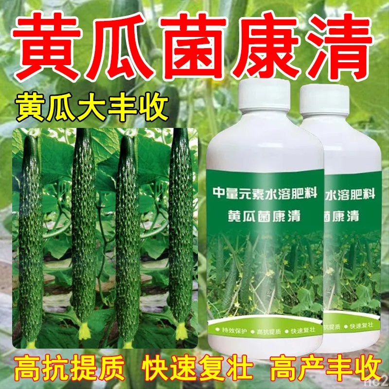 黃瓜病菌清病害專用肥菌病疫病