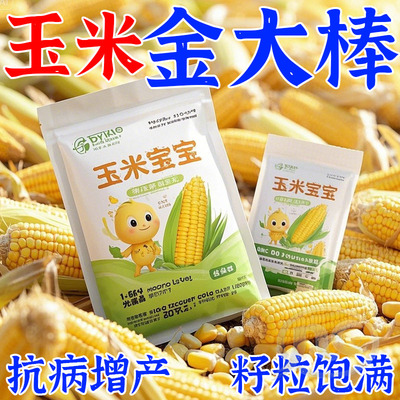 玉米专用园艺植物叶面肥高产肥玉米增产种菜玉米有机基肥复合肥料