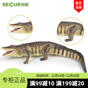 recur悦酷【短吻鳄】大号仿真动物模型儿童玩具男女孩生日礼品