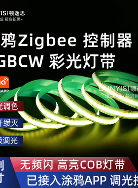 定制涂鸦zigbee灯带自粘RGBCW灯带一体智能电源七彩变色控制器