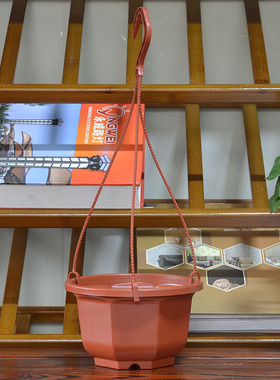 一个装八角吊兰迷你小花盆塑料悬挂带吊钩挂钩爱之蔓绿萝盆栽垂吊