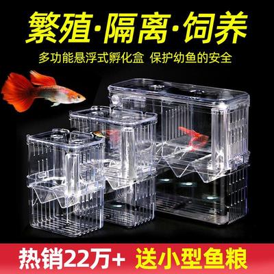 凤尾鱼繁殖盒独立式宠物鱼箱箱子小丑鱼产卵隔板漂浮斗子饲养箱