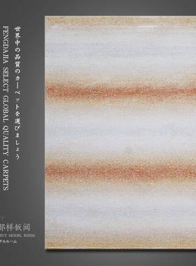 土耳其进口酒店客厅地毯茶几垫爱马橙色欧式现代家用网红推荐