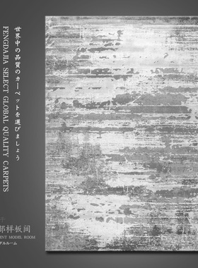 土耳其进口简约灰色客厅地毯茶几垫北欧ins轻奢现代家用网红推荐