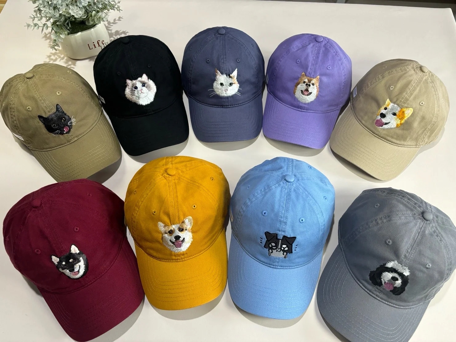 原创写实彩色宠物猫狗头像定制刺绣ins风帽子宠物刺绣帽子定制