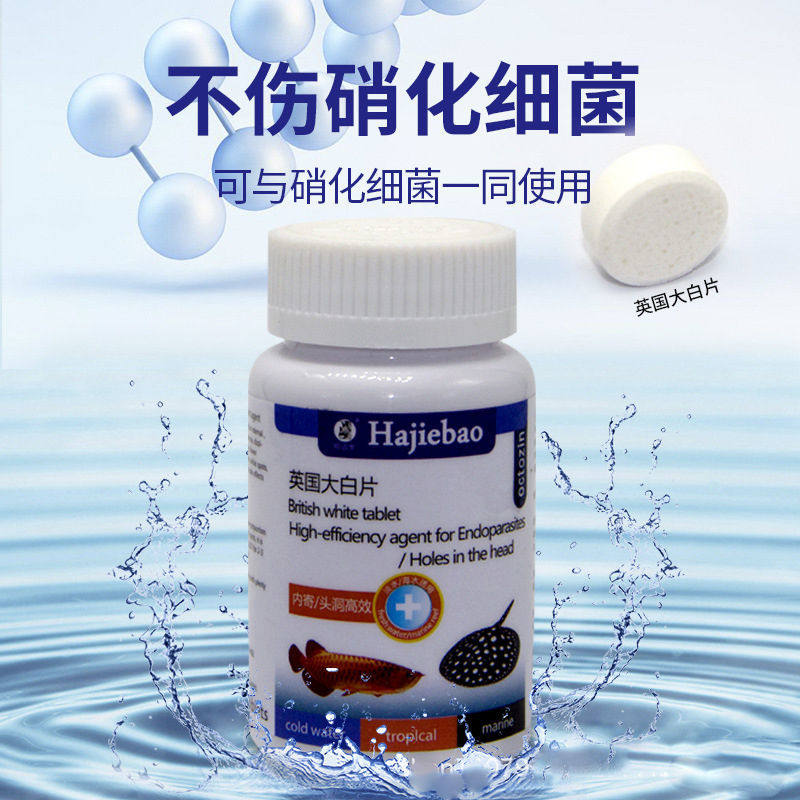 英国大白片热带鱼淡海水鱼用龙鱼锦鲤招财鹦鹉鱼金鱼不伤硝化细菌