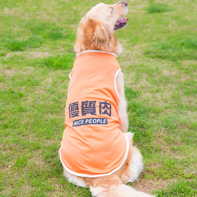 金毛大狗狗衣服夏季薄款中型大型犬夏天萨摩耶拉布拉多春秋装背心在类目 宠物/宠物食品及用品, 宠物服饰及配件, 宠物服装/雨衣中 - 来自Buy2taobao.com提供专业的淘宝代购服务