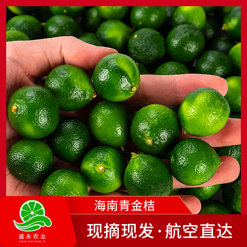 現摘新鮮水果青金桔5斤箱裝青檸檬青金桔皮薄味香泡果汁在類目 水產肉類/新鮮蔬果/熟食, 新鮮水果, 檸檬中 - 來自Buy2taobao.com提供專業的淘寶代購服務