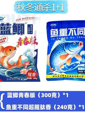 龙王恨鱼饵蓝鲫青春版饵料野钓鲫鱼鲤鱼腥香饵料小肽蛋白黑坑钓o2