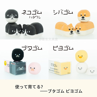 日本sunstar太阳星文具优秀赏柴犬猫咪动物橡皮持续变型外观学生