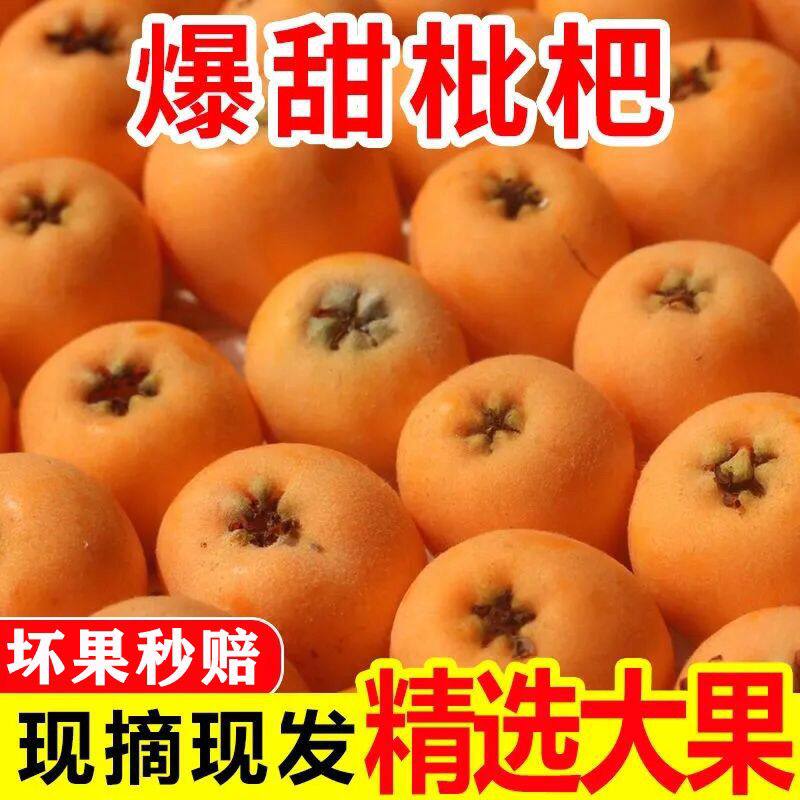 枇杷鲜果四川汶川攀枝花米易枇杷新鲜水果整箱当季琵琶果枇把孕妇